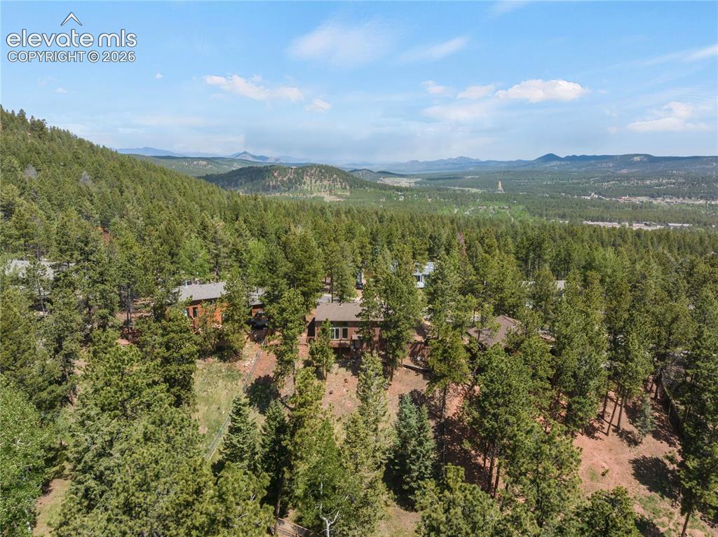 1257 W Midland Avenue Woodland Park CO 80863