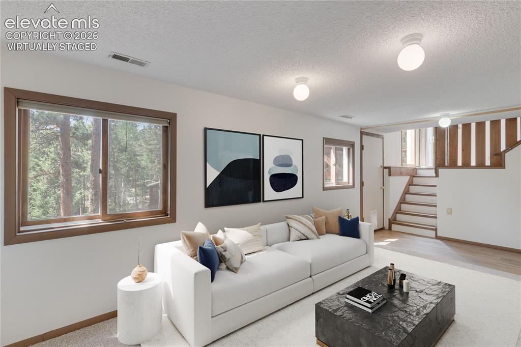 1257 W Midland Avenue Woodland Park CO 80863