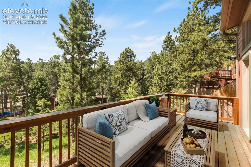 1257 W Midland Avenue Woodland Park CO 80863