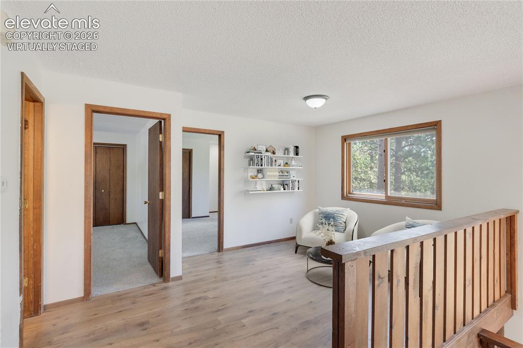 1257 W Midland Avenue Woodland Park CO 80863
