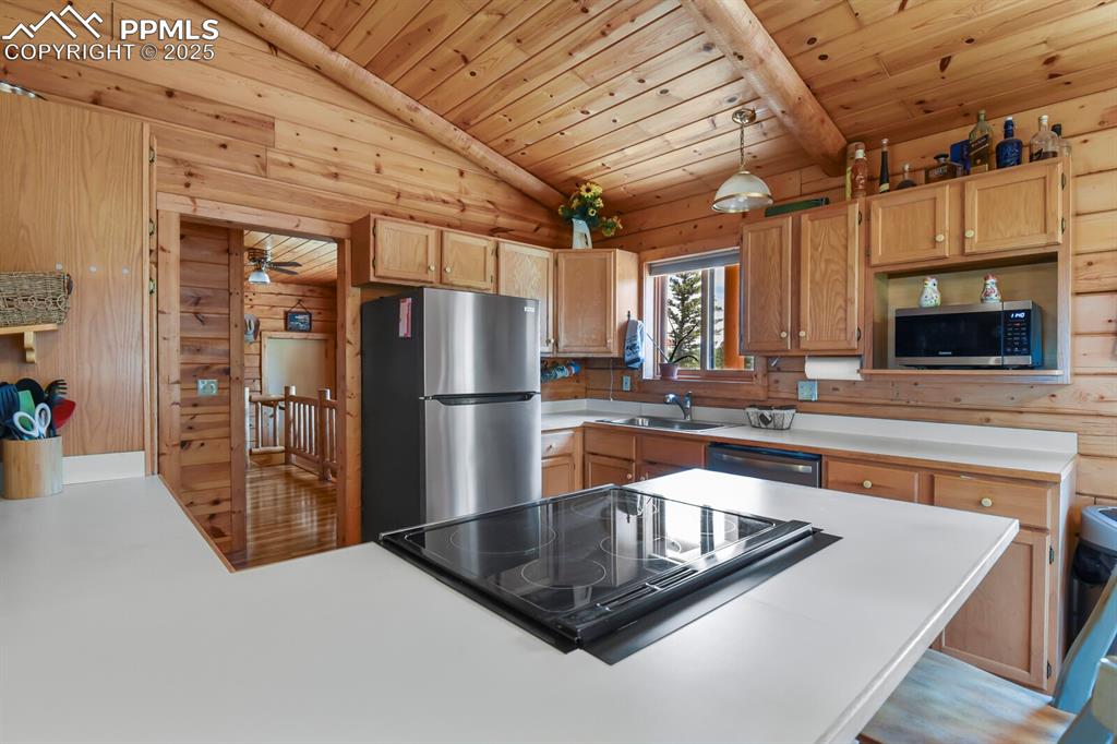 4269 County Road 51 Divide CO 80814