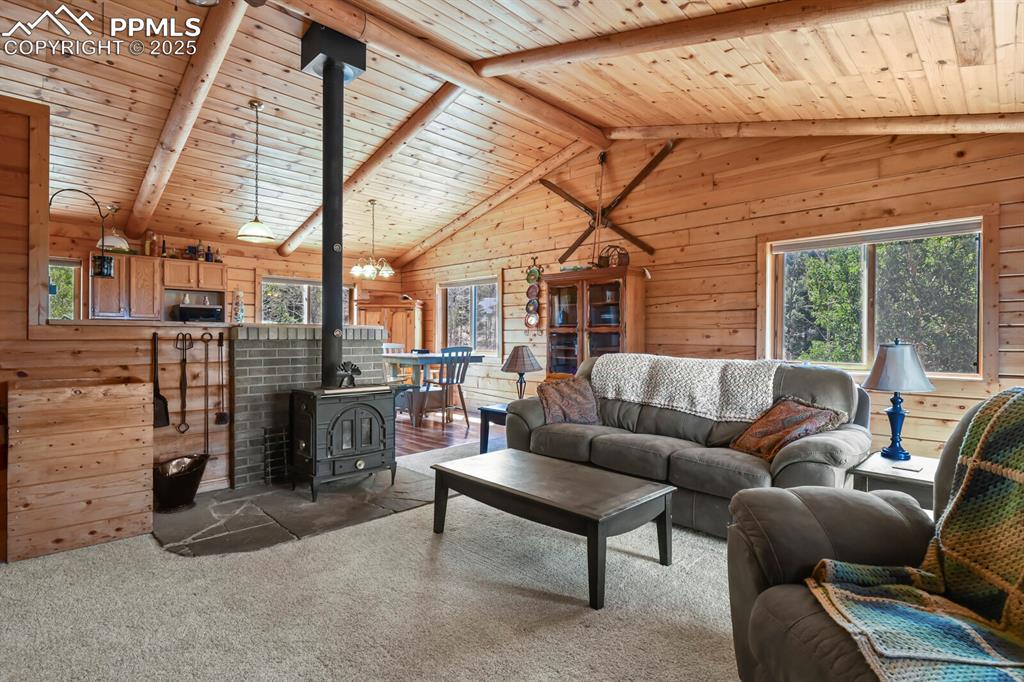 4269 County Road 51 Divide CO 80814