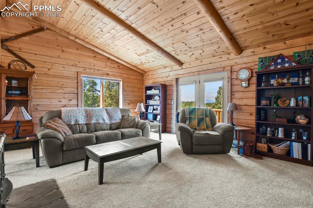 4269 County Road 51 Divide CO 80814