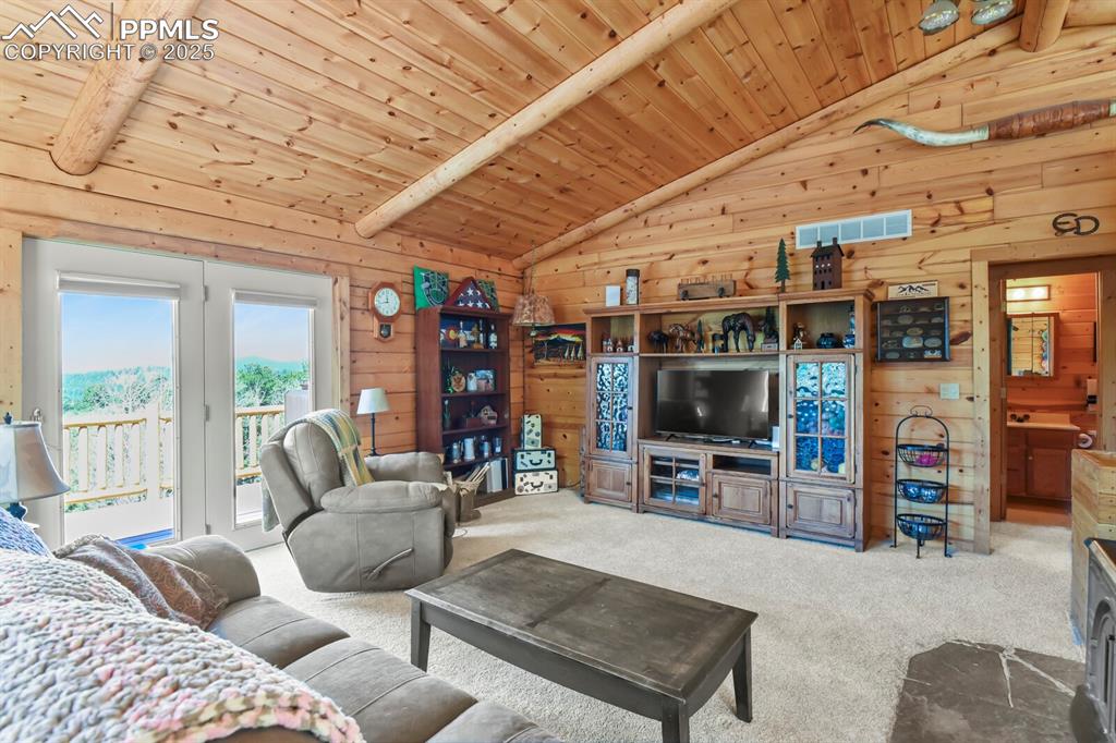 4269 County Road 51 Divide CO 80814