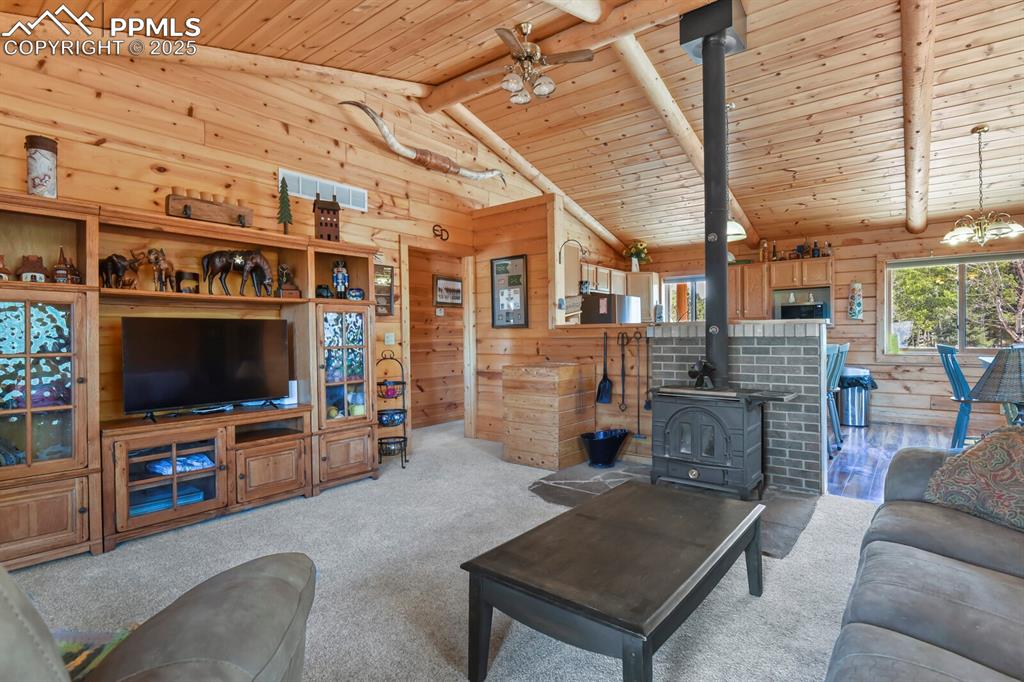 4269 County Road 51 Divide CO 80814