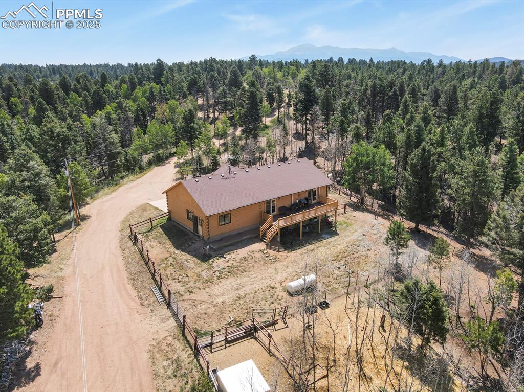 4269 County Road 51 Divide CO 80814