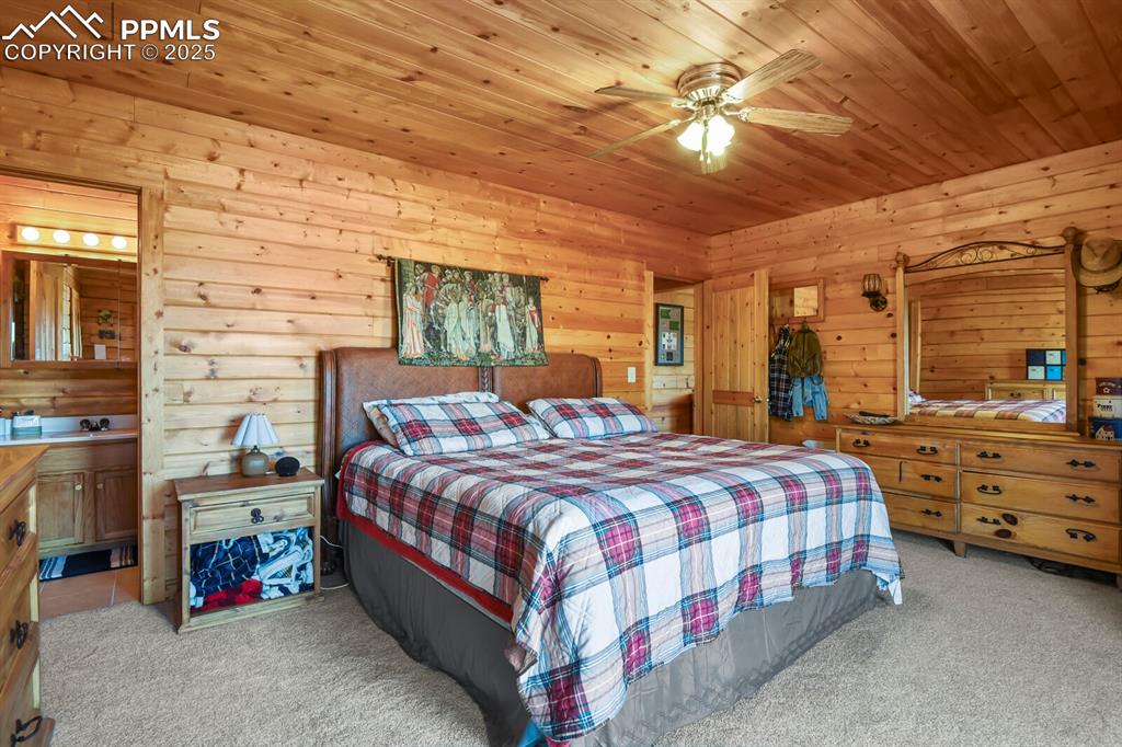 4269 County Road 51 Divide CO 80814