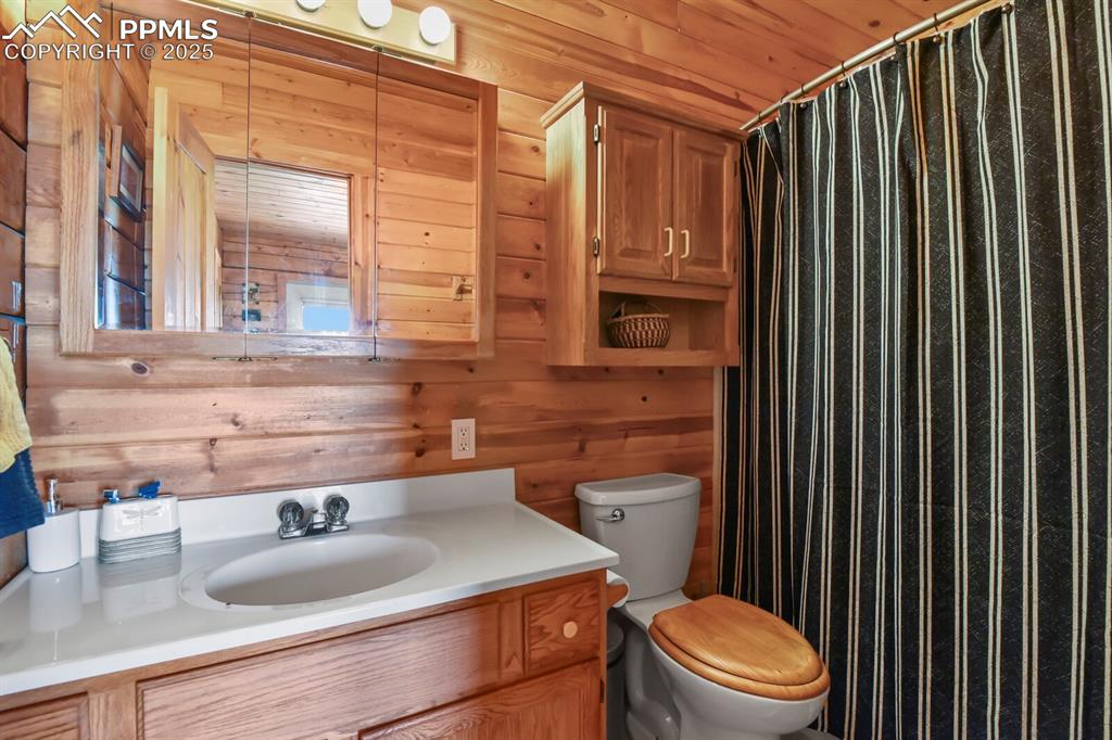4269 County Road 51 Divide CO 80814