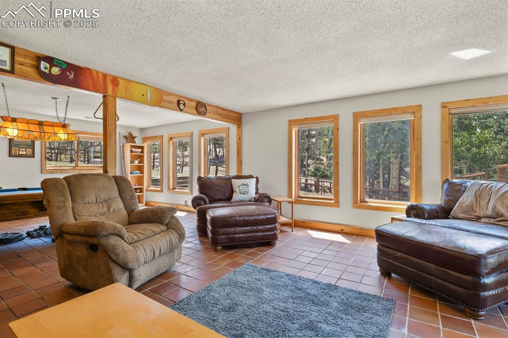 4269 County Road 51 Divide CO 80814