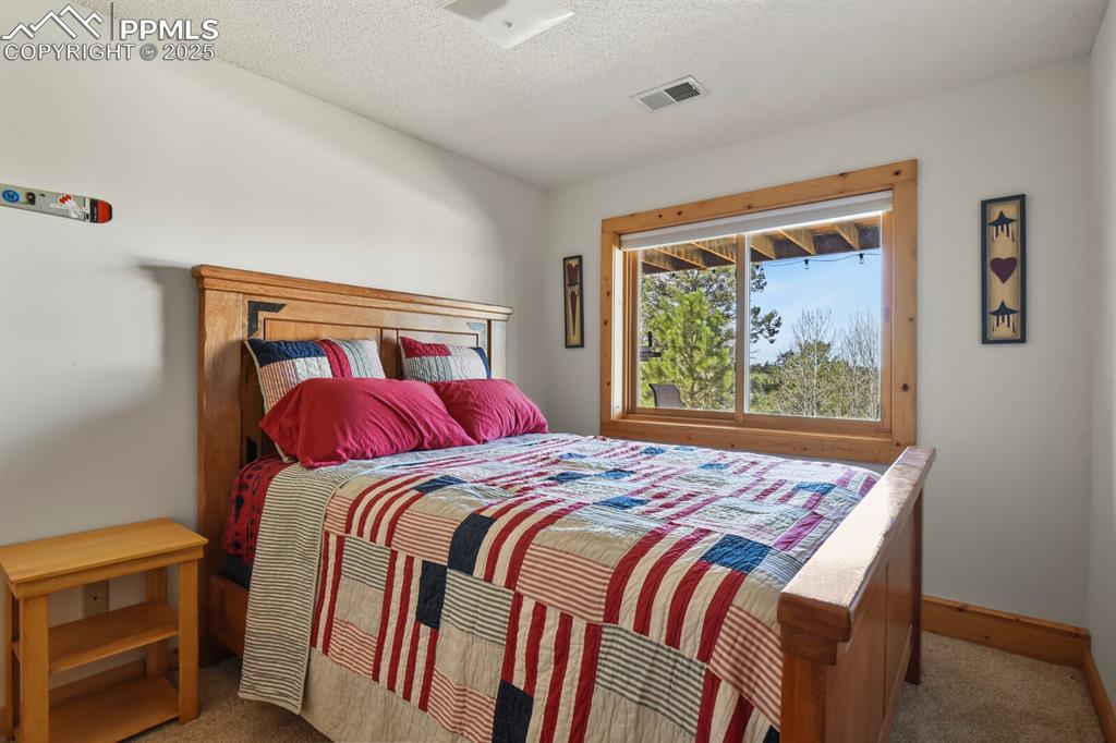 4269 County Road 51 Divide CO 80814