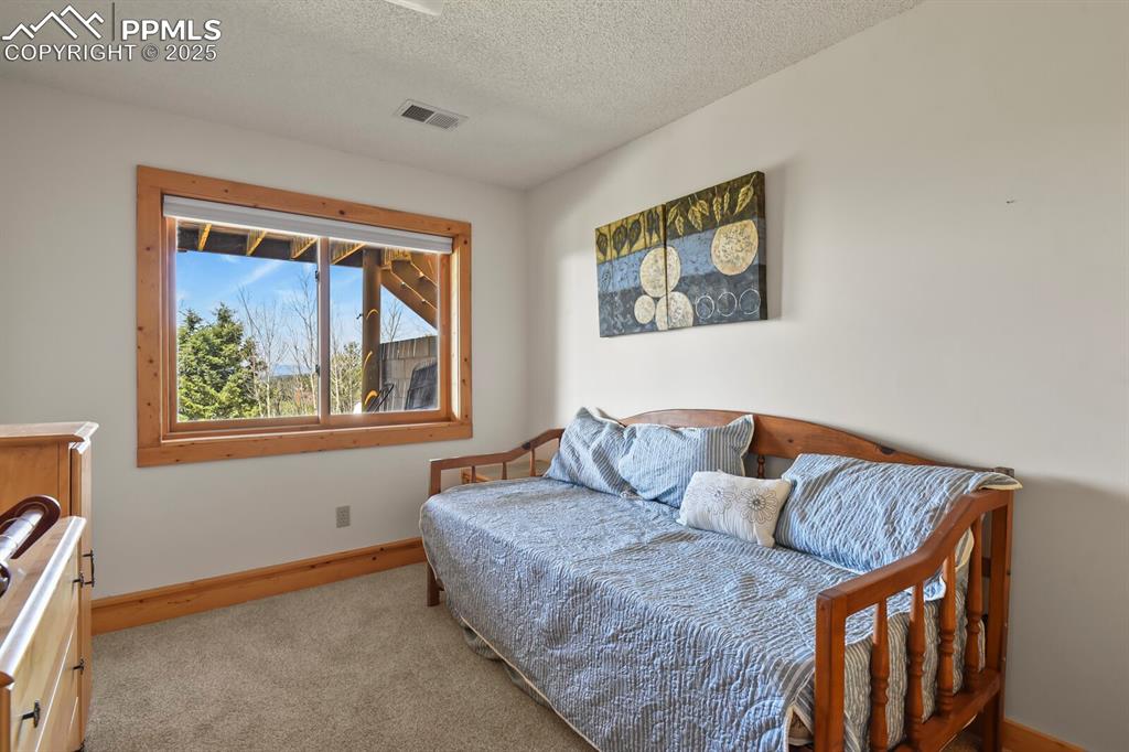 4269 County Road 51 Divide CO 80814