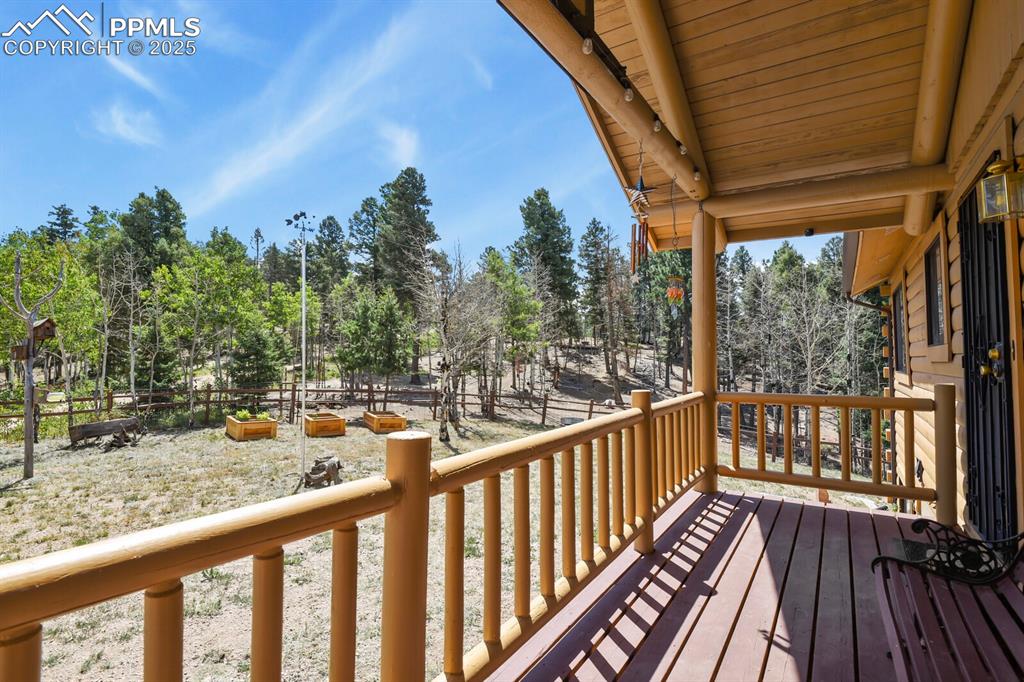 4269 County Road 51 Divide CO 80814