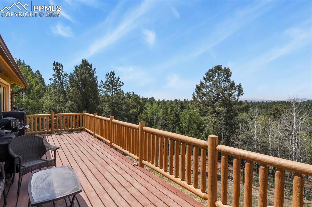 4269 County Road 51 Divide CO 80814