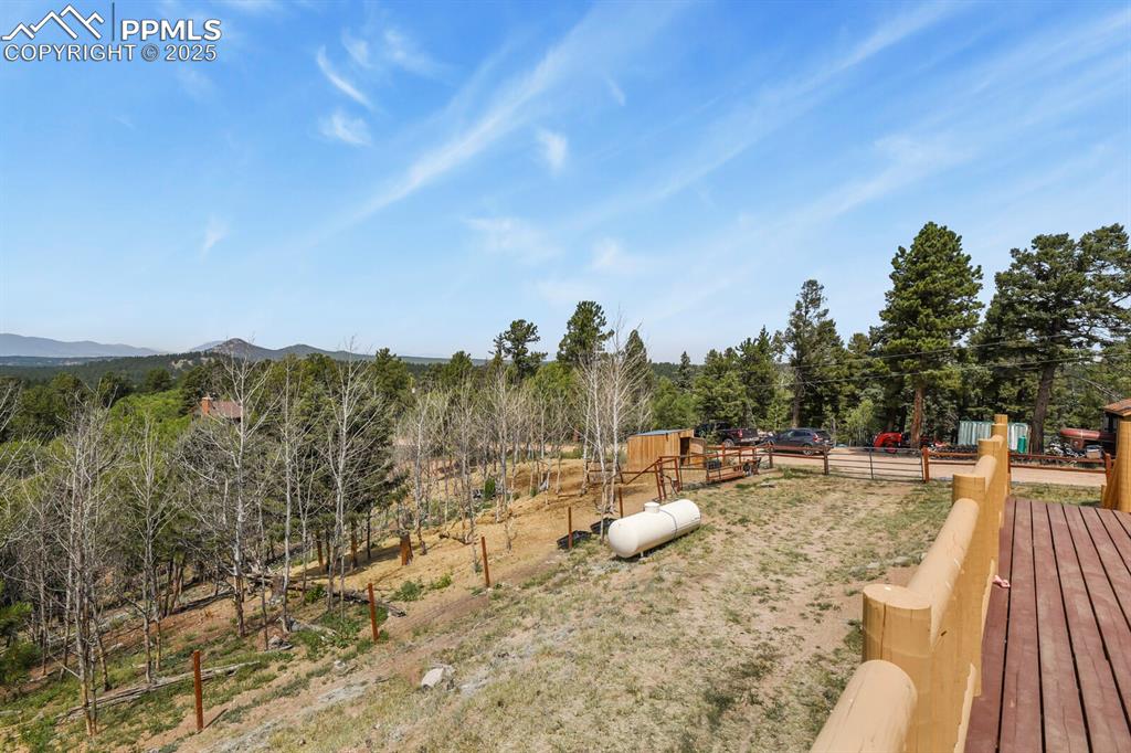 4269 County Road 51 Divide CO 80814