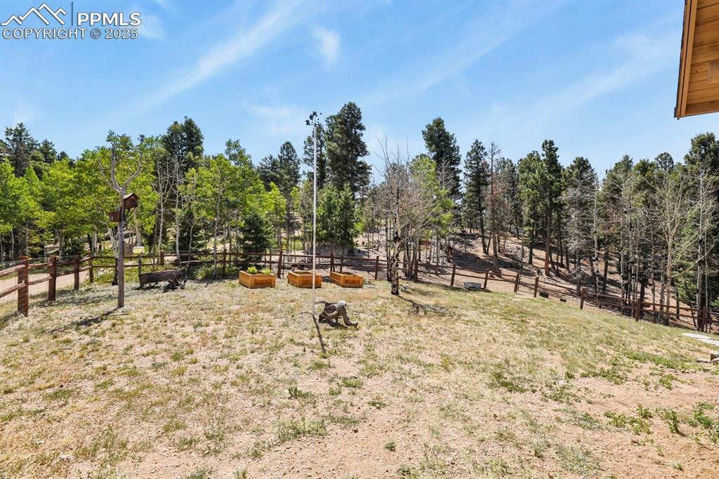 4269 County Road 51 Divide CO 80814