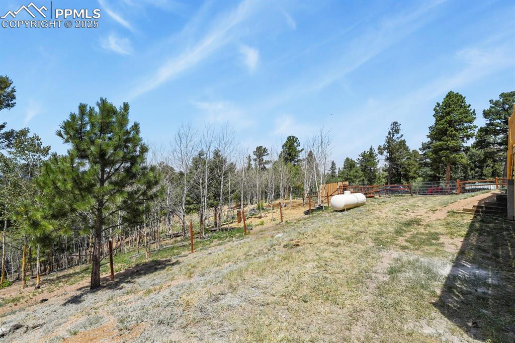 4269 County Road 51 Divide CO 80814