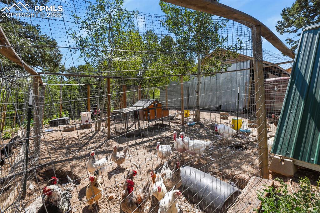 4269 County Road 51 Divide CO 80814