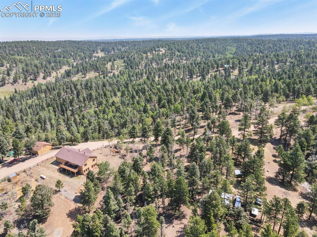 4269 County Road 51 Divide CO 80814