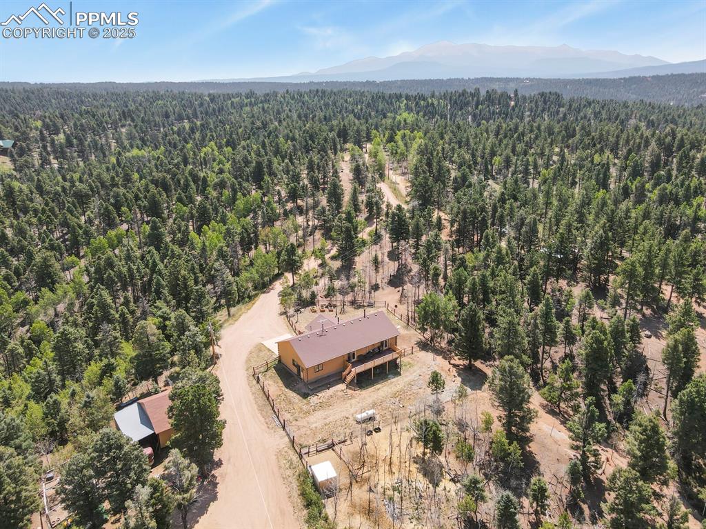 4269 County Road 51 Divide CO 80814