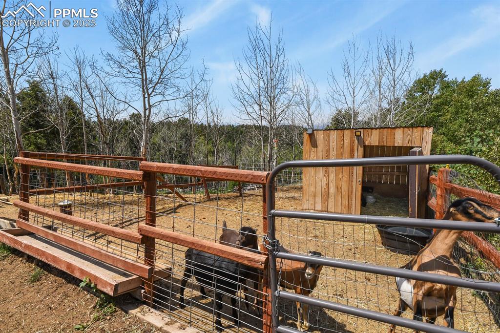 4269 County Road 51 Divide CO 80814