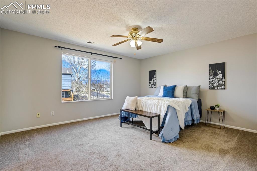 4364 Bronco Gulch Court Colorado Springs CO 80925
