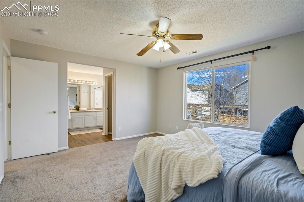4364 Bronco Gulch Court Colorado Springs CO 80925