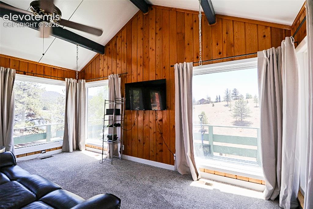 731 Midland Court Lake George CO 80827