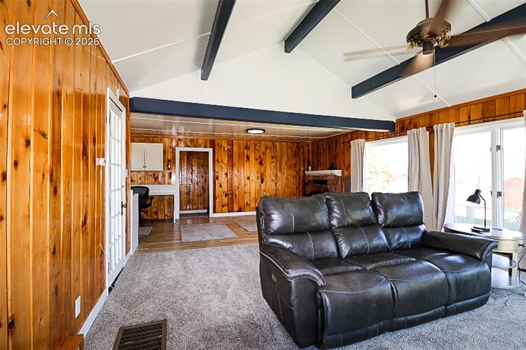 731 Midland Court Lake George CO 80827