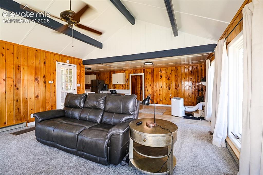 731 Midland Court Lake George CO 80827