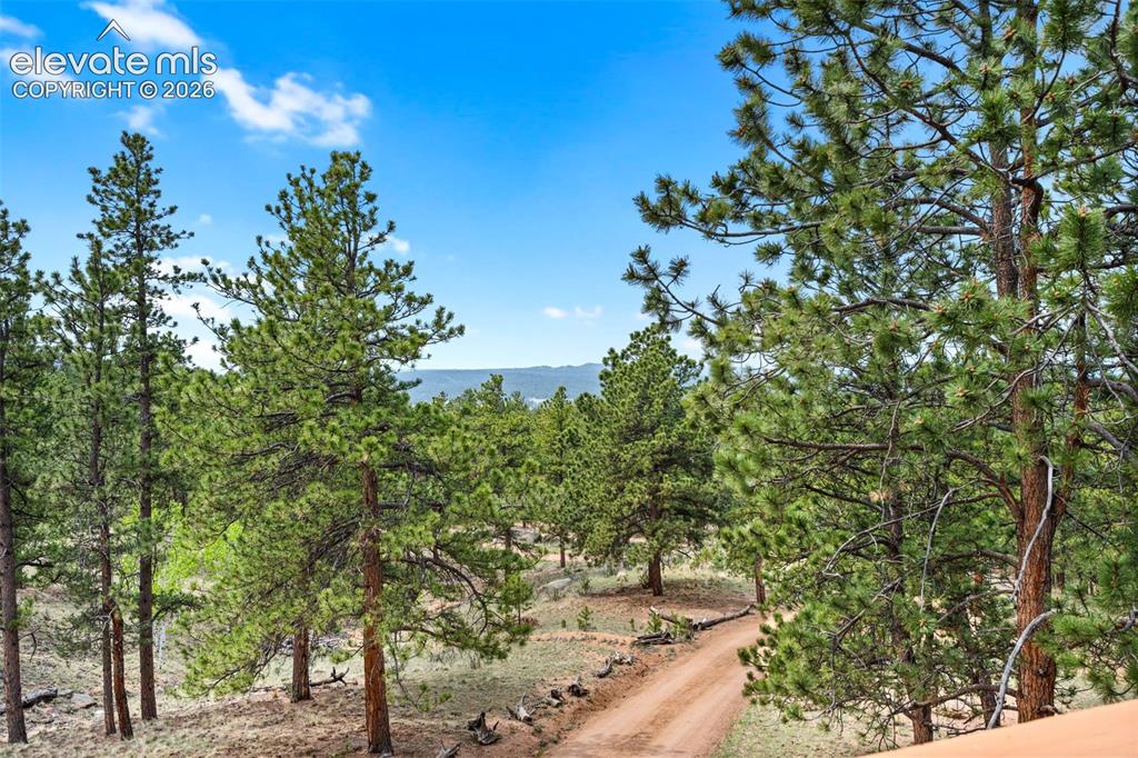 605 Obsidian Drive Florissant CO 80816