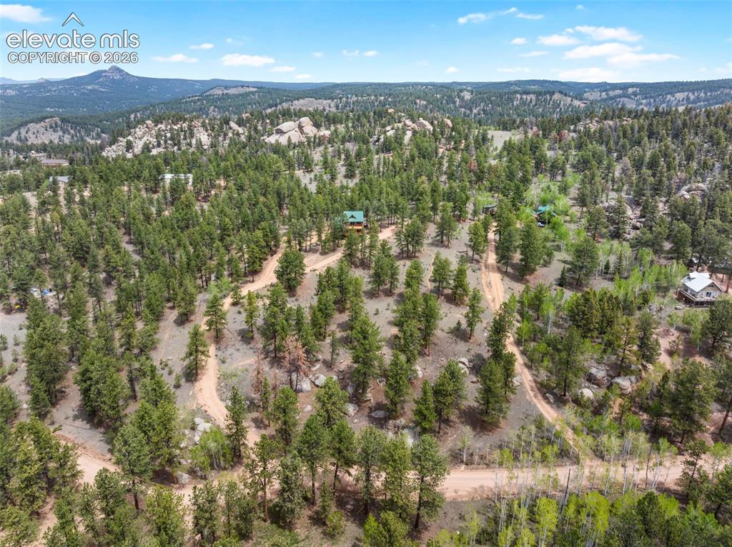 605 Obsidian Drive Florissant CO 80816