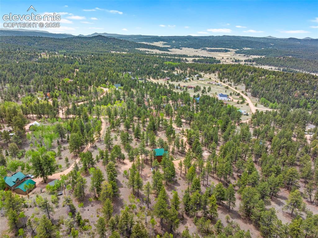 605 Obsidian Drive Florissant CO 80816