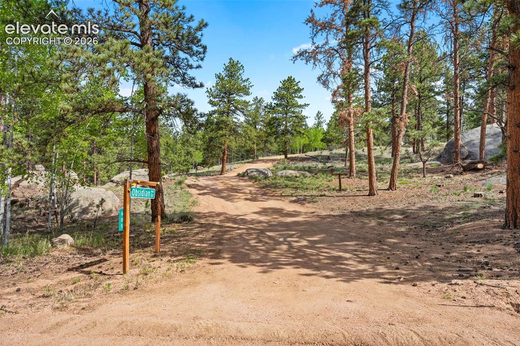 605 Obsidian Drive Florissant CO 80816