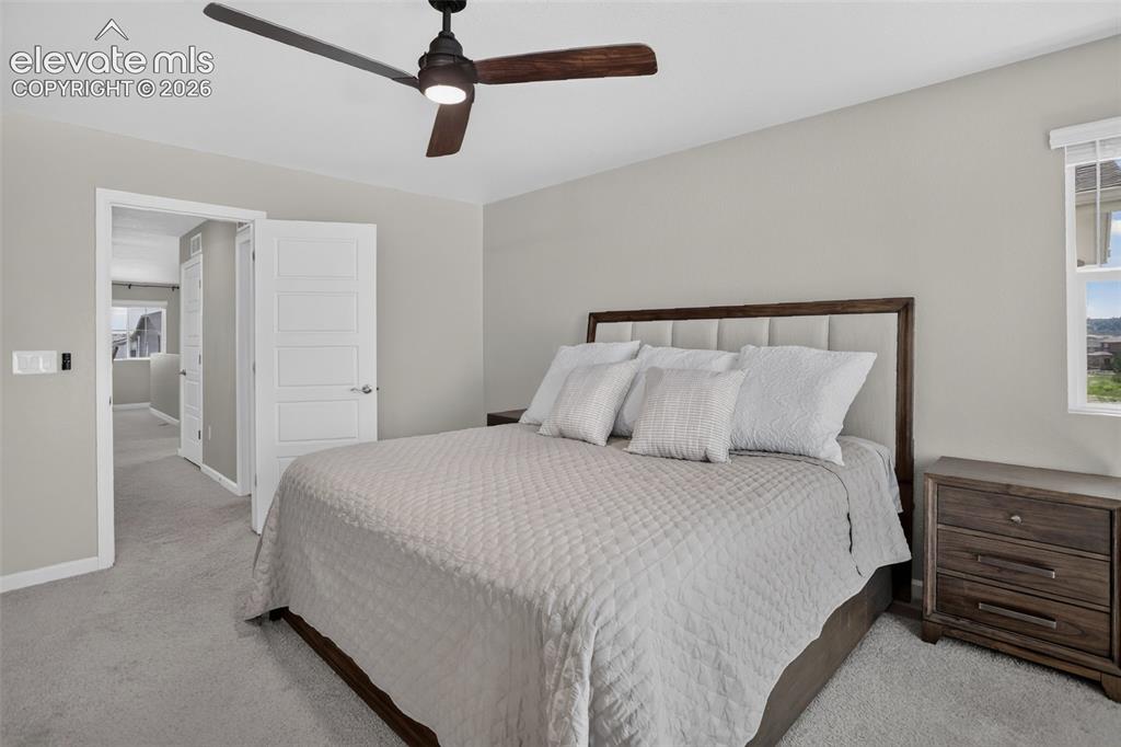 1835 Villageview Lane Castle Rock CO 80104