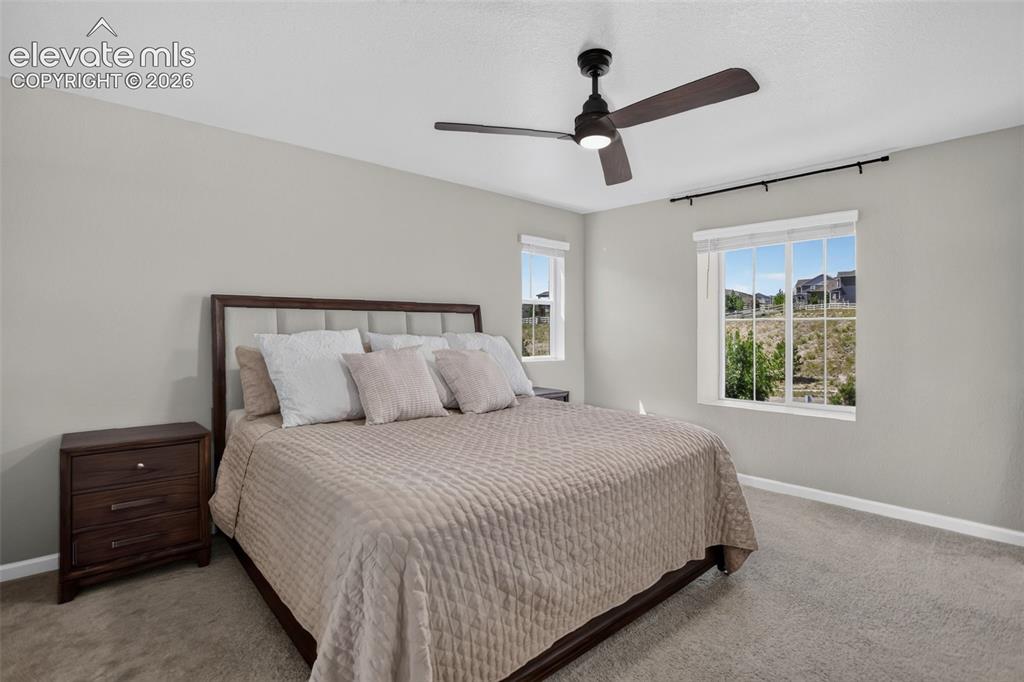 1835 Villageview Lane Castle Rock CO 80104