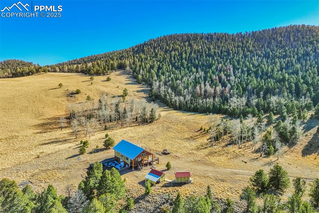 1440 N Range Road Guffey CO 80820