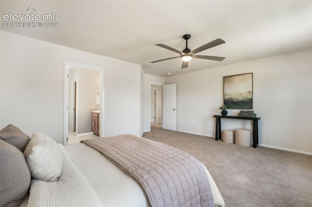 7186 Laurel Cherry Court Colorado Springs CO 80927
