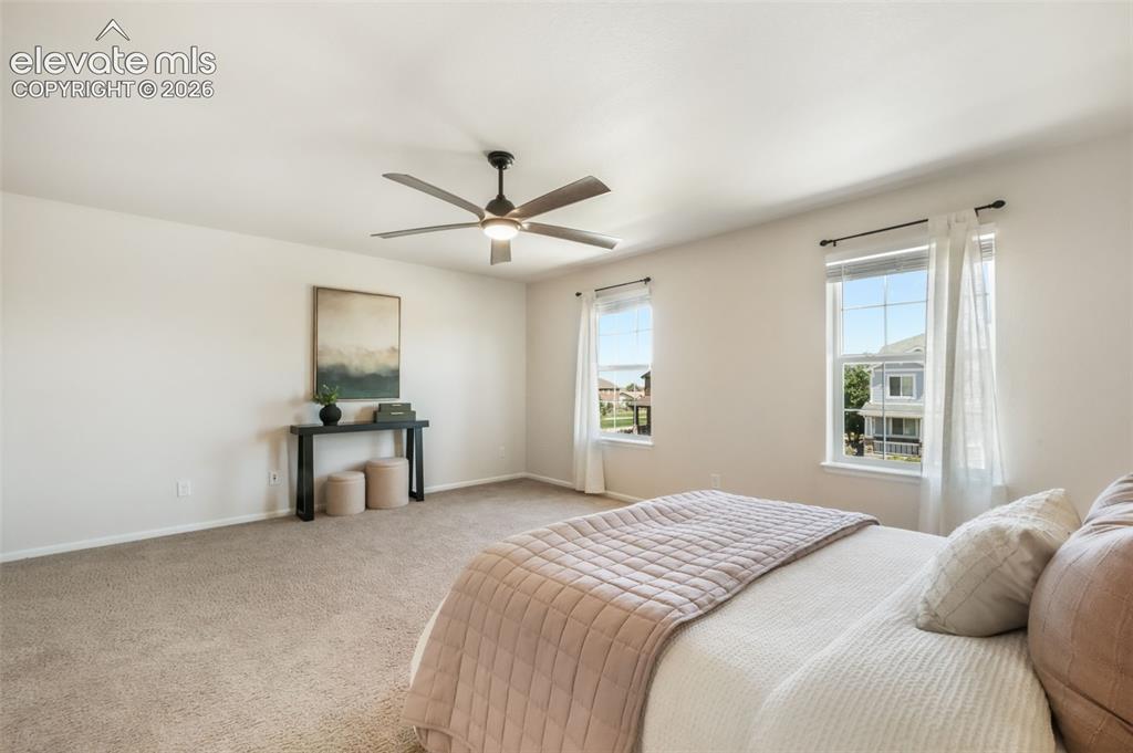 7186 Laurel Cherry Court Colorado Springs CO 80927