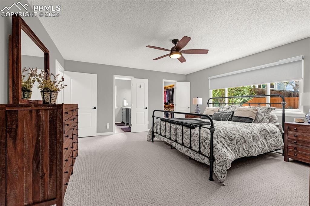 7447 Montarbor Drive Colorado Springs CO 80918
