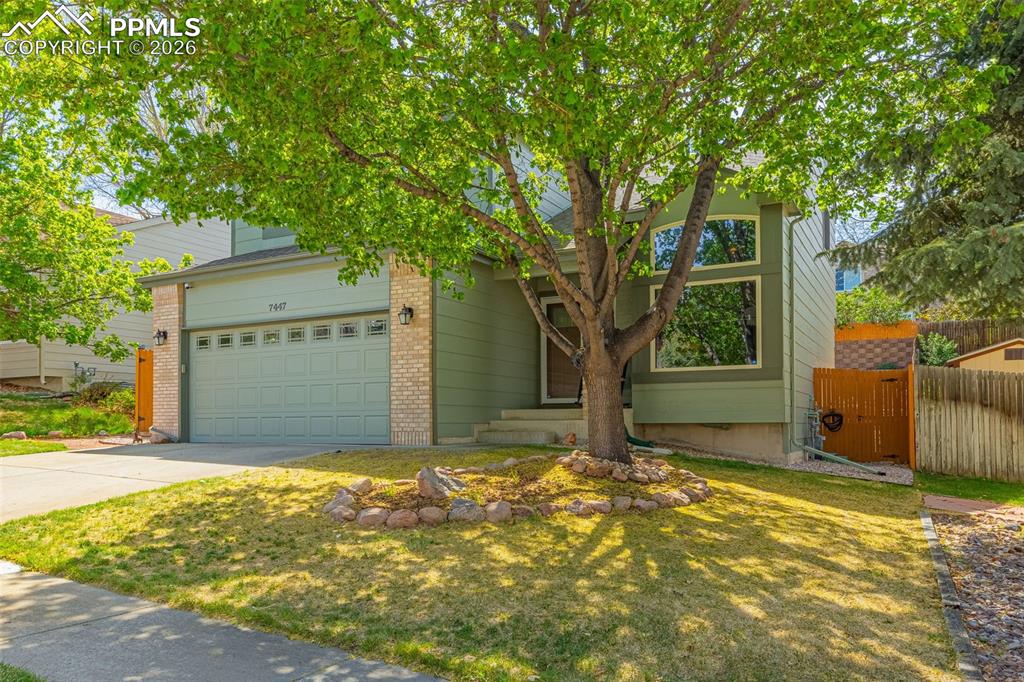 7447 Montarbor Drive Colorado Springs CO 80918