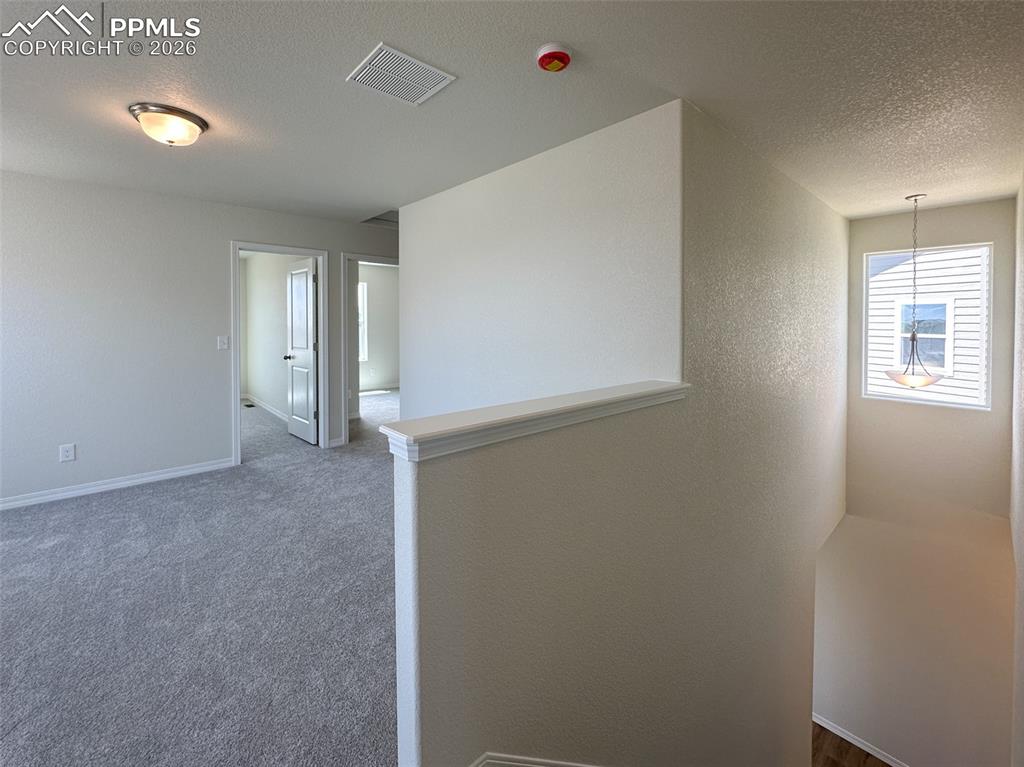 10945 Jolie Court Falcon CO 80831