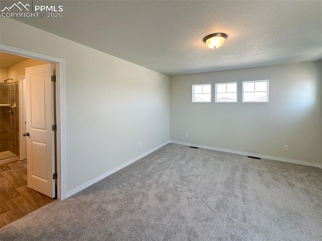 10945 Jolie Court Falcon CO 80831