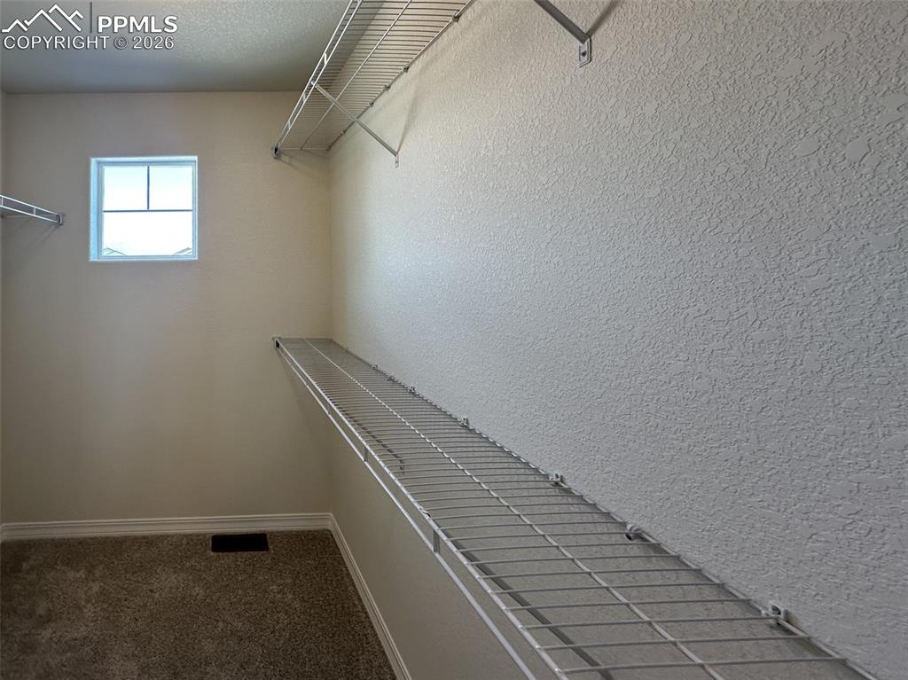 10945 Jolie Court Falcon CO 80831