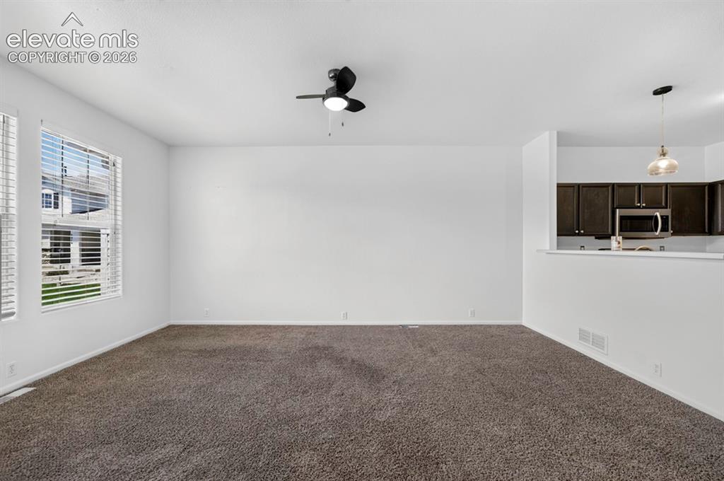 6042 Ensemble Heights Colorado Springs CO 80923