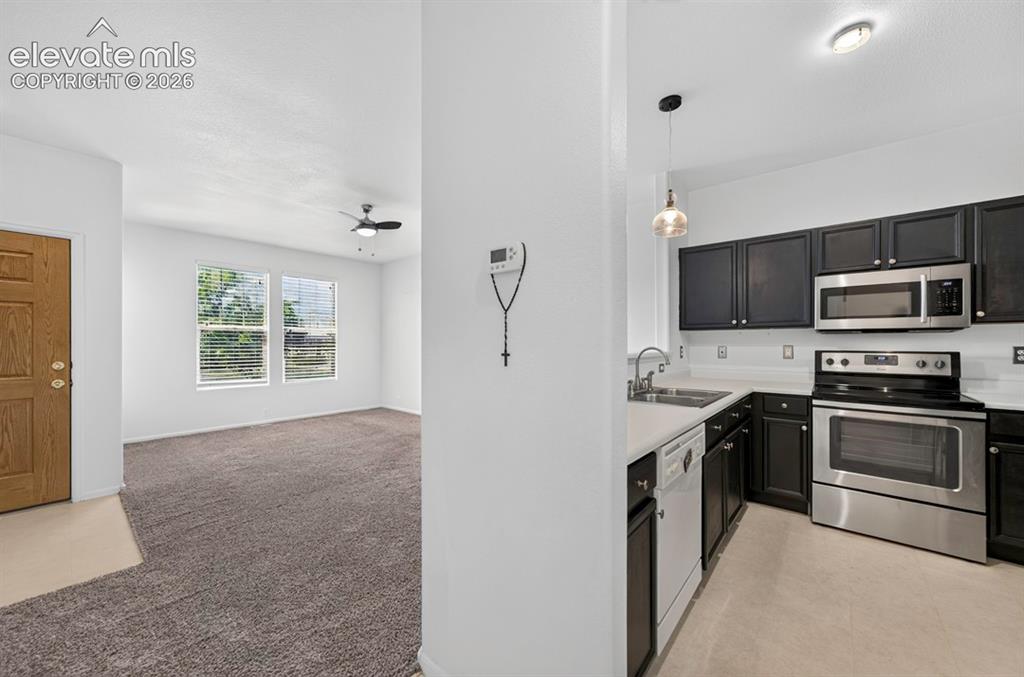 6042 Ensemble Heights Colorado Springs CO 80923