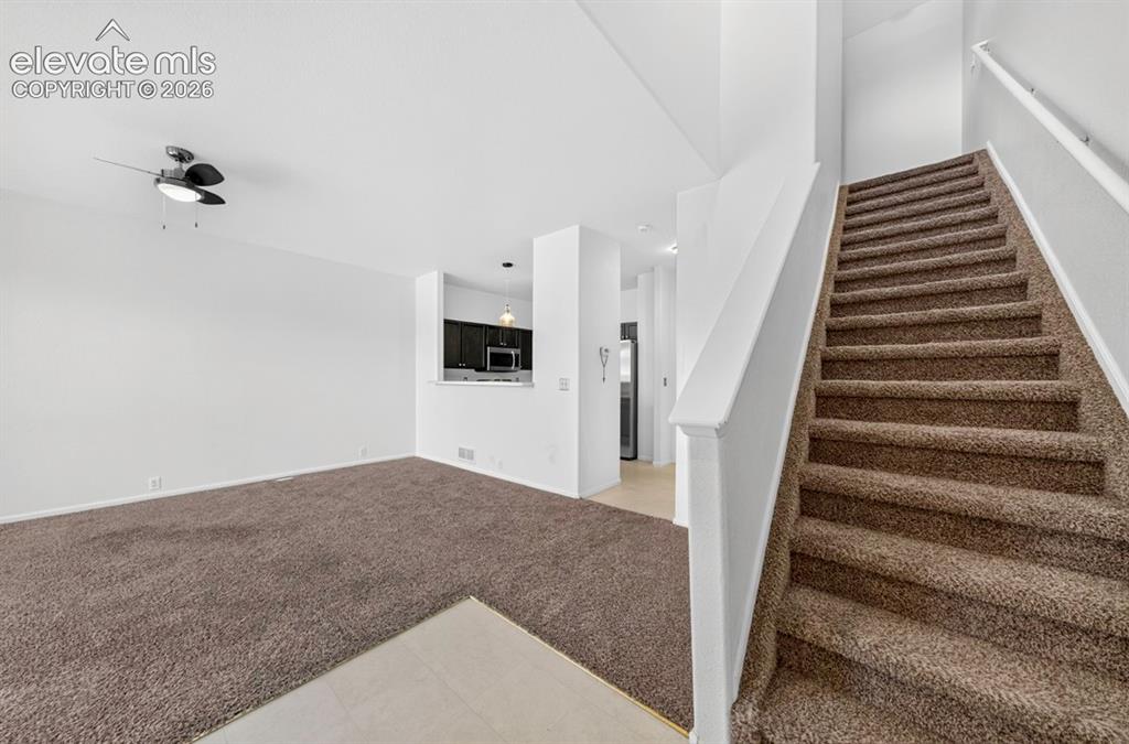 6042 Ensemble Heights Colorado Springs CO 80923