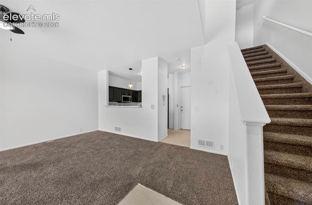 6042 Ensemble Heights Colorado Springs CO 80923