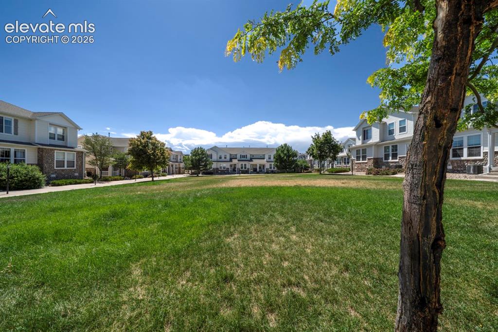 6042 Ensemble Heights Colorado Springs CO 80923