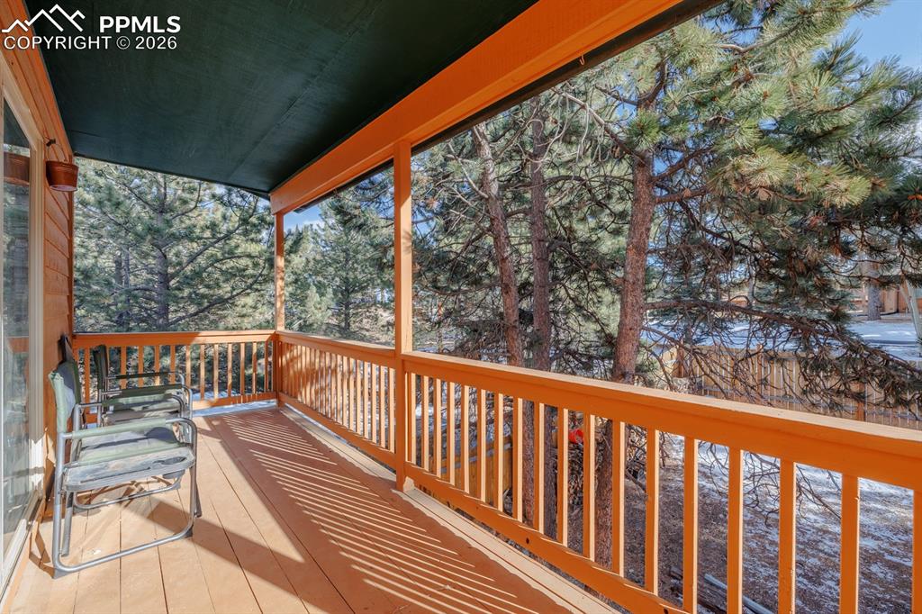21 Shadowood Place Woodland Park CO 80863