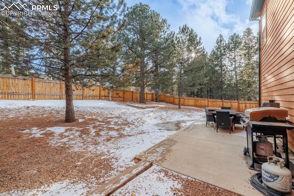 21 Shadowood Place Woodland Park CO 80863